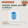 Clean-Paw Cup square product video showing a gentle paw-cleaning routine